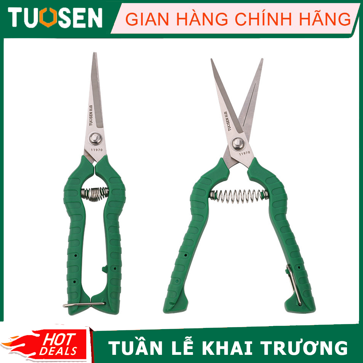chinh hang tuosen (1)